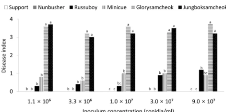 Fig. 4. Fusarium wilt occurrence of four cucumber and two rootstock  cultivars according to inoculum concentration