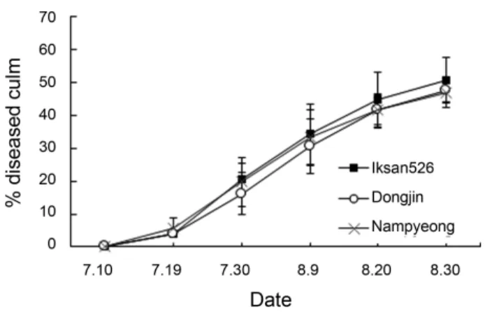 Fig. 1. Comparison of sheath blight occurrence between transgenic  rice plant (Iksan526) and non-transgenic rice plants (Dongjin, Nampyeong)