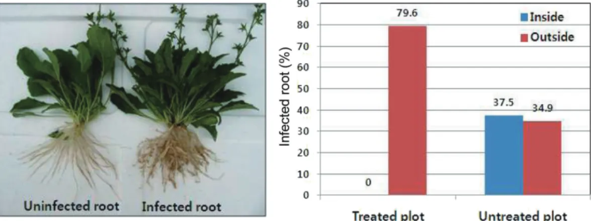 Table 2. Effects of the bio-formulation on the growth and survival of cucumber plant, and population density of Meloidogyne spp