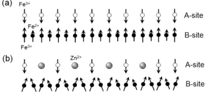 Fig. 5. Sublattice spin configurations of (a) magnetite Fe 3 O 4  and Zn 0.4 Fe 0.6 O 4.