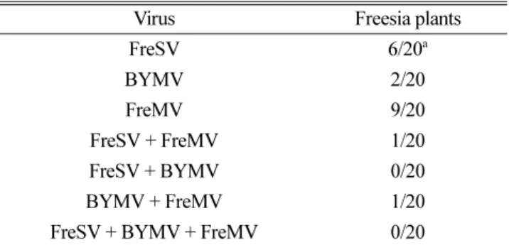 Table 1. Identification of freesia viruses using RT-PCR analysis in freesia plants