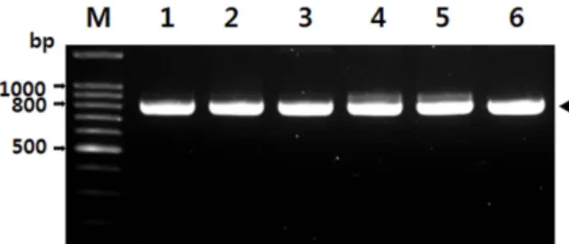 Table 1. Detection of Cherry green ring mottle virus (CGRMV) by RT-PCR from sweet cherry trees in different areas No