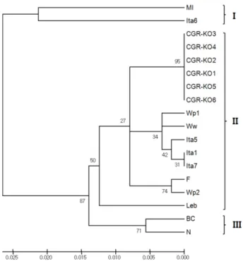 Fig. 3. Phylogenetic analysis based on nucleotide sequences of coat protein genes from isolates of CGR-KO 1−6 and other 12 Cherry green ring mottle virus (CGRMV) isolates available in nucleotide  database  (California  isolates:  F  and  N;  Washington iso
