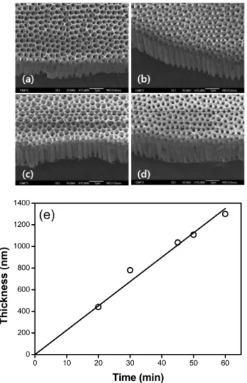 Fig. 4. Scanning electron micrographs of alumina layer under various second anodization time of 30 minutes (a), 45 minutes (b) 50 minutes (c) and 60 minutes (d)
