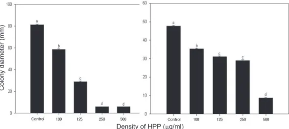 Fig. 3. Inhibitory effects of 3-(4-hydroxyphenyl)-propionic acid (HPP) passed through farm-soil on growth of Phytophthora capsici