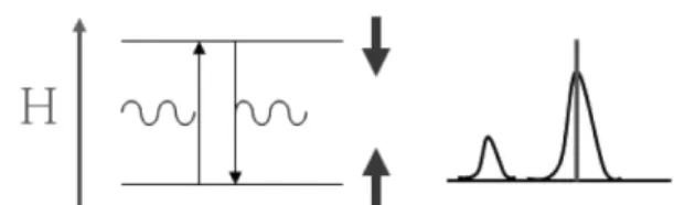 Fig. 1.  (left) Zeeman energy splitting of a nuclear spin in external field. A photon with the energy the same with the energy difference in the splitting makes transition