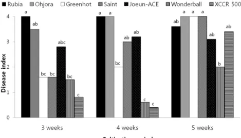 Fig. 4. Development of black rot on seven cabbage cultivars according to incubating temperature after inoculation