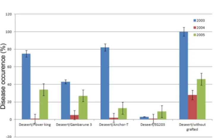 Table 1. Comparison of wilting rate (%) of ‘Yoyo’ seedling plants and EG 203 grafted tomato plants in 2009 a