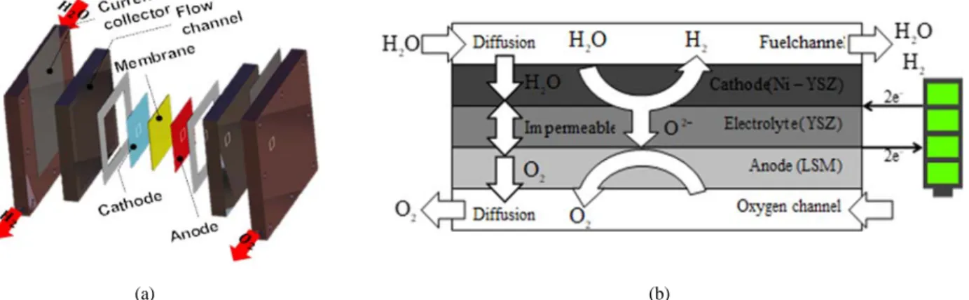 Fig. 1. Schematic diagram of planar SOEC : (a) geometry of the SOEC; (b) reaction mechanism in the SOEC.