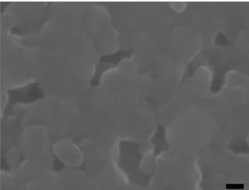 Fig. 2.  SEM micrograph of MnFe 2 O 4  nanoparticle annealed at 250 o C. The marked length is 40 nm.