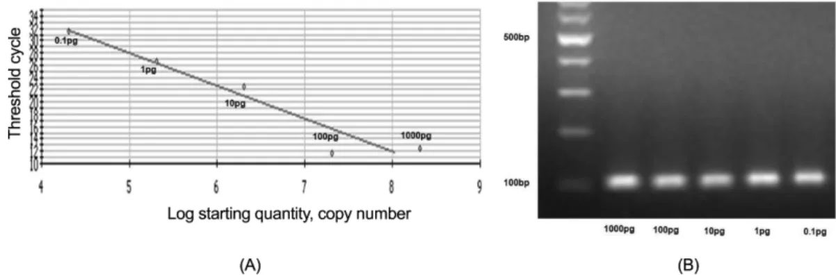 Fig. 1. Ct value of real-time PCR products and agarose gel electrophoresis of PCR products