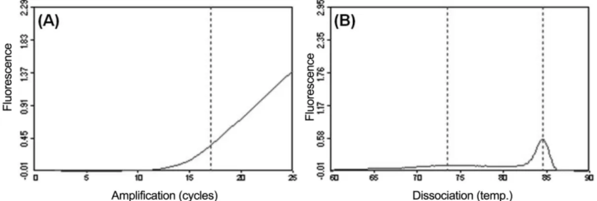 Fig. 3. Diagnosis of TYLCV from tomato leaves using PCR and ultra-rapid real-time PCR