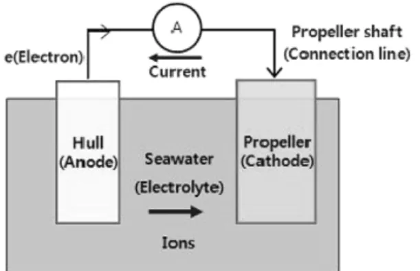 Fig. 3.  Polarization curve at sea water for HY80 and NAB.