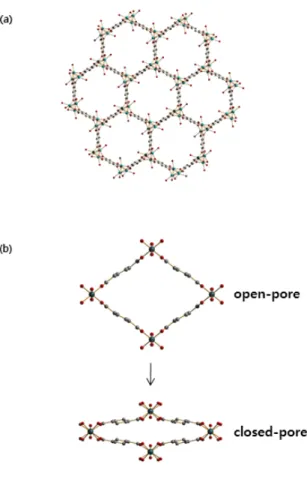 Fig. 1. The structure of (a)MOF-74-Ni and  (b)closed-pore and open pore of MIL-53