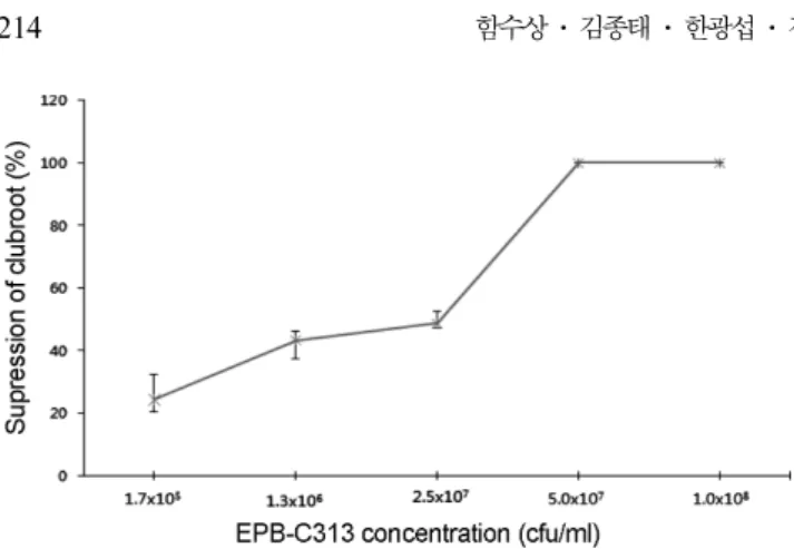 Fig. 4. Changes in suppression effect of different concentration of  Flavobacterium hercynium EPB-C313 against clubroot formation on seedling of Chinese cabbage.