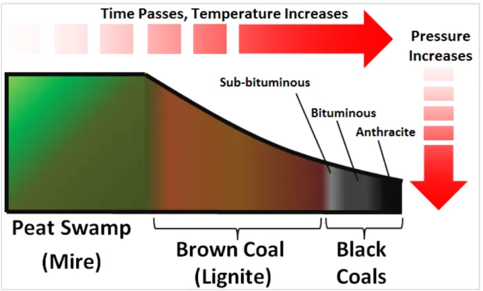 Fig 2. Coal formation by peatification and coalification process [76].