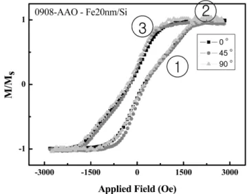 Fig. 3.  SEM image of Cu(3 nm)/Fe(20 nm) nanostructure/Si(001).