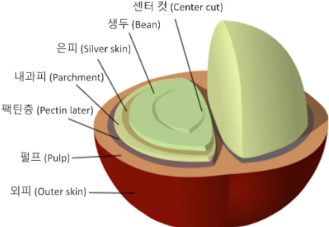 Fig. 1.  커피나무열매  (cherry)의  단면도 펄프 껍질 은피 찌꺼기 셀룰로오스 63.0  ±  2.5 43.0  ±  8.0 17.8  ±  6.0 8.6  ±  1.8 헤미셀룰로오스 2.3  ±  1.0 7.0  ±  3.0 13.1  ±  9.0 36.7  ±  5.0 리그닌 17.5  ±  2.2 9.0  ±  1.6 1.0  ±  2.0 0.05  ±  0.05 총 섬유  60.5  ±  2.8 24.0  ±  5.9 62.4  ±  