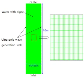 Fig. 2. Computational modeling for algae agglo- agglo-meration analysis세조류의 응집을 확인하였다