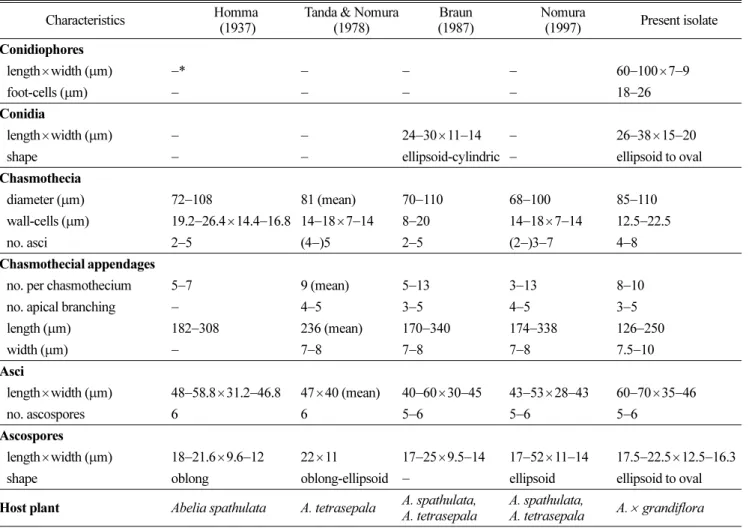 Table 2. Comparison of morphological characteristics of Erysiphe abeliicola and the present isolate Characteristics Homma
