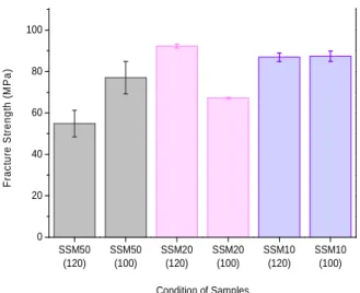 Fig. 6. Low resolution images of fracture surface of SSM10-120 after tensile test.