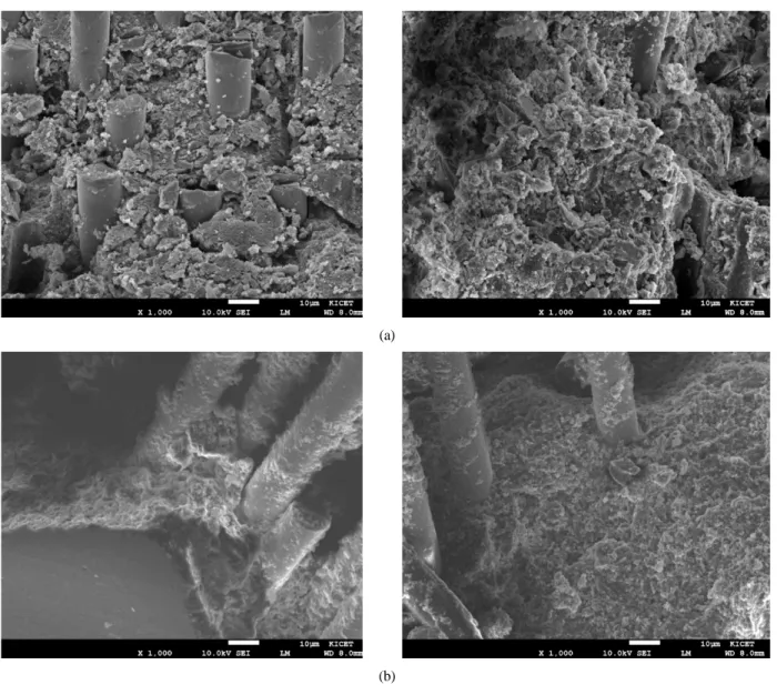 Fig. 7. Fracture surfaces of (a) SSM50-100 and (b) SSM-10 after tensile test.