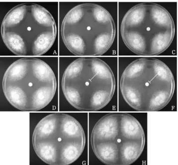 Table 3. Inhibitory effect of several chemicals on the growth of Rhizoctonia cerealis in a paper disc method Chemicals Formulation a