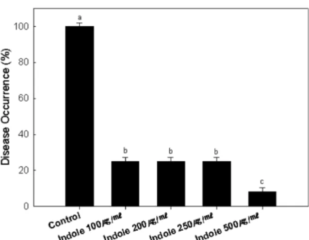Fig. 7. Control efficacies of indole application on the diseases of red pepper plants at field