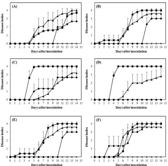 Fig. 2. Disease progress by Ralstonia solanacearum SL1944 on six different tomato lines at three different temperature conditions