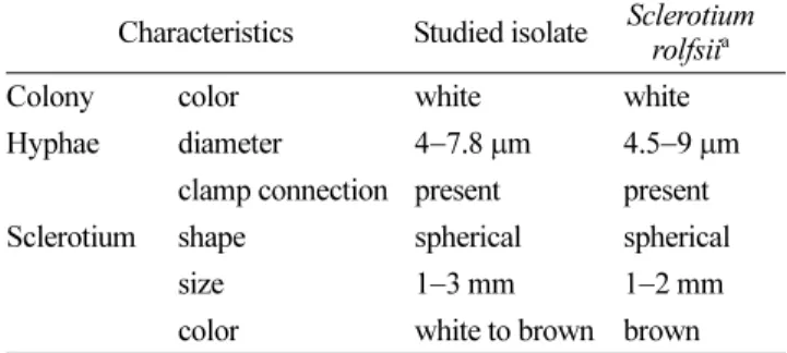 Table 1. Comparison of mycological characteristics between the isolate studied and Sclerotium rolfsii 