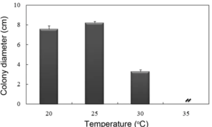 Fig. 3. Phylogenetic tree of the present isolate, Rhizoctonia sp. isolated from the Azolla japonica based on ITS sequences