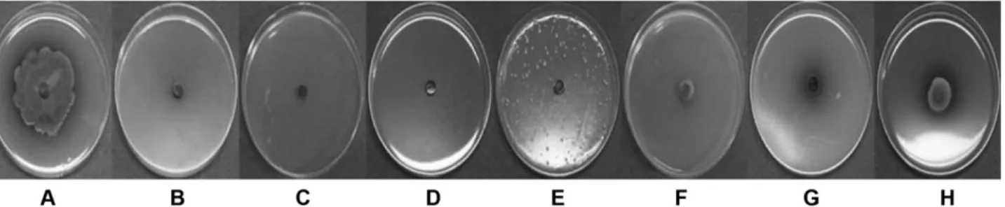 Fig. 2. Mycelial growth inhibition of selected environmental friendly agricultural materials for control of Alternaria dauci