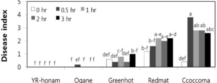 Fig. 3. Fusarium wilt occurrence of five cabbage cultivars according to inoculum concentration