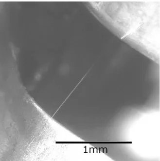 Fig. 13. Tin Whisker (via. NASA) [6]