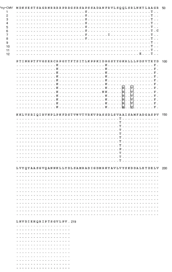 Fig. 3. Predicted amino acid sequence differences from Fny-CMV coat protein. Different amino acid sequences of field collected pepper CMV isolates (1-12) of the two regions were marked as boxes.