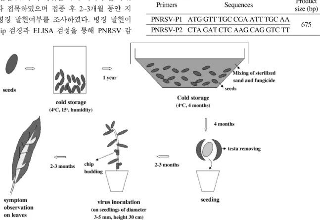 Fig. 1. Bioassay protocols using P. persica ‘GF305’ woody indicator.