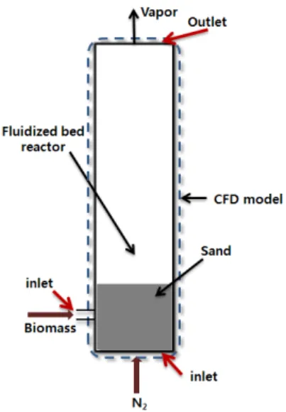 Fig. 1. Schematic of fluidized bed reactor [4]
