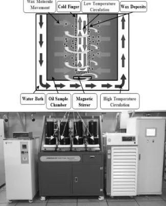Fig.  2.  Composition  of  transparent  oil  sample  measured  by  gas  chromatography.