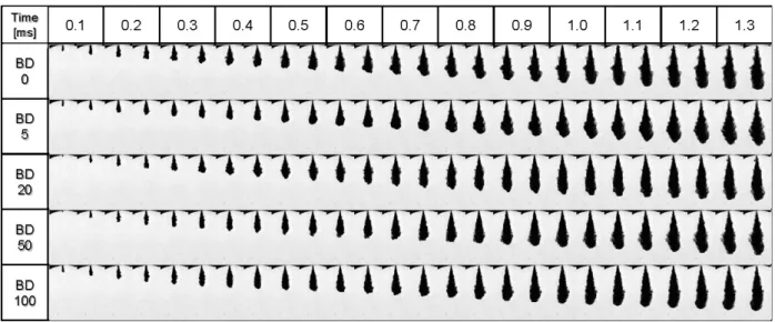 Fig.  4.  Images  of  non-evaporating  spray  development  process  with  respect  to  biodiesel  blending  ratio