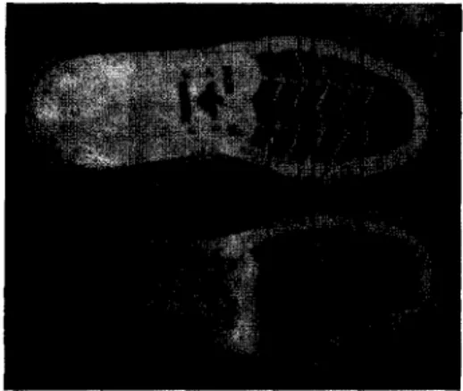 Fig. 4. Mold use Reverse  engineering.