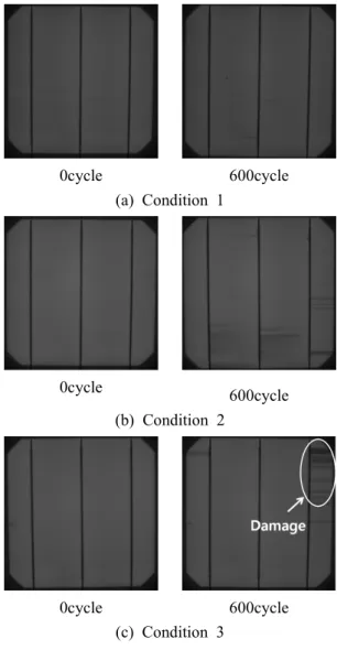 Fig.  4.      EL  Image  of  Specimens  (A-type)