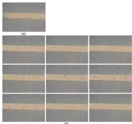 Fig. 12 Real (a) and generated (b) contamination lane image