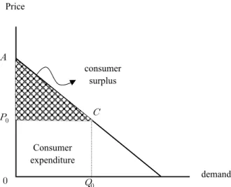 Fig. 1. Electricity demand function and consumer surplus.