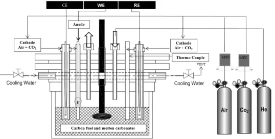 Fig. 1. Schematic diagram of DCFC system.