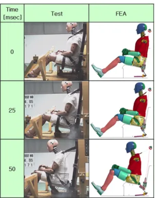 Fig. 6 Test &amp; FEA results on 0 ~ 50msec dummy behavior