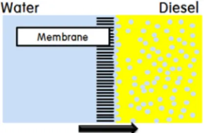 Fig. 1 Fundamental of manufacturing DWE using membrane