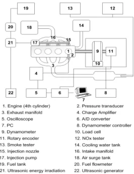 Fig. 1. Schematic diagram of ultrasonic energy irradiation system.
