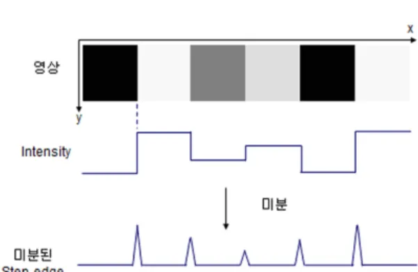 Fig. 2 Step edge and differentiated step egde