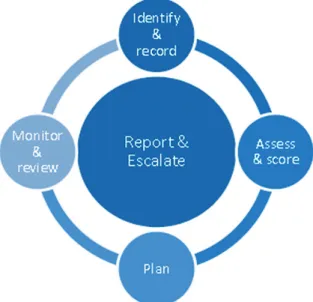 Fig. 3. Risk Management Process (NHS England, 2015)