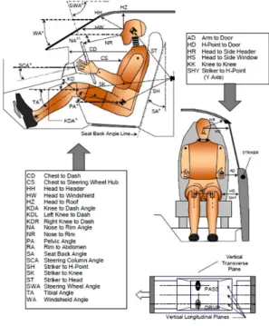 Table 4 Estimated 30km/h crash pulse from a regression